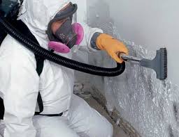 Best Mold Removal for HVAC Installations  in Lyons, WI